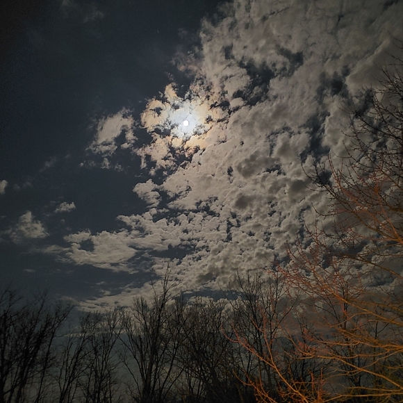 Meet your Posher, April - Picture 5 of 5